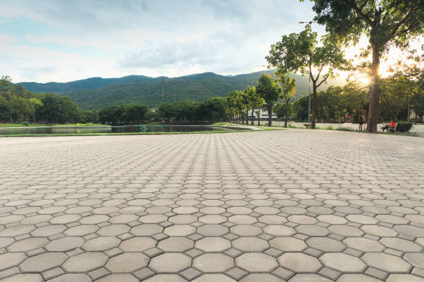 Best Driveway Pavers Near Me  in Riverton, NJ
